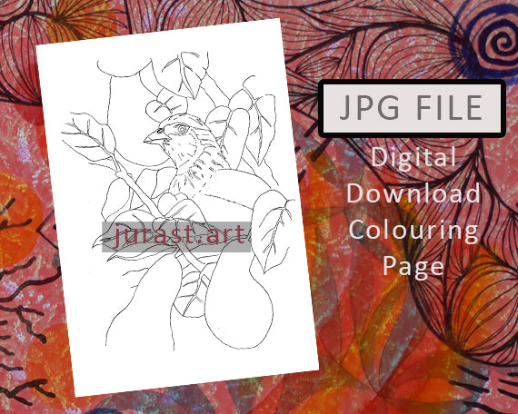 Christmas Partridge Digital Download